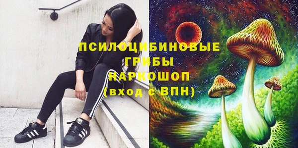 МДПВ Коряжма