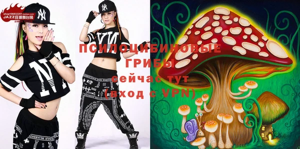 МДПВ Коряжма