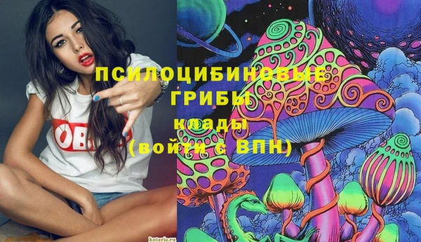 МДПВ Костерёво