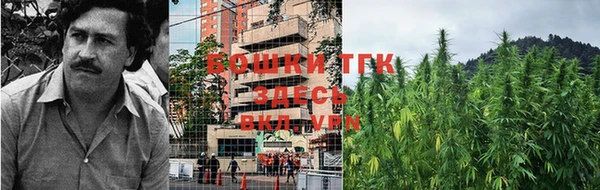 МДПВ Костерёво