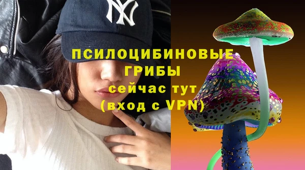 МДПВ Коряжма