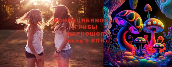 МДПВ Коряжма