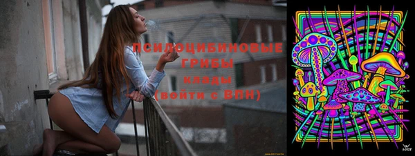 МДПВ Коряжма