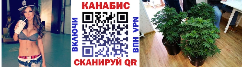 Купить закладки  Бронницы  Канабис план 